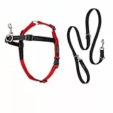 Company of Animals Halti Front Control Gurt und Trainingsleine Kombipackung, Medium Harness, schwarz