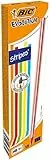 BIC 918487 Evolution Streifen Graphitstifte (12 Stück)
