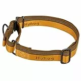 Hyhug Nylon Klassische Halsbänder ，Anti-Flucht Hundehalsband. 3M Reflektierender Streifen, Komfortabel Verstellbar, Sicherer Nachtspaziergang, Hunde-ID-Tag-Montageloch (Kleine, Artisan's Gold)