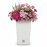Prosperplast Rato Square Blumentopf 26,5 x 26,5 x 50 cm Weiß | Moderner Pflanzkübel in Rattan-Optik | Eckiger Übertopf mit Einsatz | Wetterfester Kunststoff für Balkon, Terrasse & Wohnung