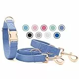 Weich Leder Hundehalsband und Leine (2m) Set - 3-Fach Verstellbar Hundeleine mit Halsband, Stilvollen Rose Gold Metall Schnalle & Nylon Hund Leinen für Welpen Kleine Mittlere Große Hunde Violett,M