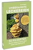 Unbekannte Leckereien: 30 Pilzarten, deren Geschmack dich überraschen wird: Wo & wann finden, typische Merkmale, Verwechslungspartner. Inkl. Täublinge, Milchlinge, Winterpilze & Rezepte