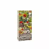 Sperli Blumensamen-Mischung SPERLI's Wildblumenzauber 88534 - für naturnahe Flächen - kraftvolle Pflanzen- Wildblumensamen, Blumenwiese Samen, Saatgut
