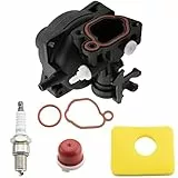 FanPaYY Vergaser Rasenmäher Motor Ersatz Kit für Briggs & Stratton mit O-Ring Unterlegscheibe 799583 591160 593261 591110 300E 450E 500E Serie