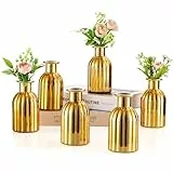 NUPTIO Glas Kleine Vasen für Tischdeko: 6 Stück Glasvase für Hochzeit Mittelstücke Gold Vintage Klein Blumenvasen Bulk für Weihnachten Tisch Schlafzimmer Ästhetische Geburtstag Party Dekoration