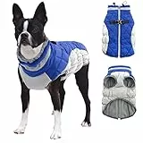 CITÉTOILE Hundemantel für Kleine Hunde Mit Geschirr - Warme, Wasserdichte Hundejacke Mit Fleece Gefüttert, Winddichte Reflektierende Winterweste für Dackel, Bulldogge