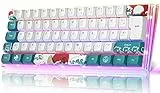 MIHIYIRY AK62 Mechanische Gaming-Tastatur, 60% kompakte, Tastatur mit RGB-Hintergrundbeleuchtung PBT-Typ-C-Kabel für Win/Mac-Gamer (QWERTZ-Layout)