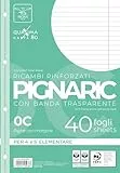 Pigna, 40er Pack Ersatzteile mit 4 Löchern zum Abheften, verstärkter Seitenstreifen, Blätter mit verstärkten Löchern, Format A4, 21x29,7, 0C, liniert mit Rand