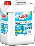 Sidolin Zitrus Glasreiniger