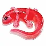 Original SLIMY Lab Dissect-IT Salamander - Experimentieren & Forschen Sezier-Set - Schleim Labor, prämiertes STEM/Mint Lernspielzeug, Slime-Set mit Spielknete und Sezierwerkzeug