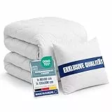 Home Oase® Bettdecken Set 2-teilig - 1x Ganzjahres Decke 135x200 + 1x Kissen 80x80 cm - ÖKO-TEX® Zertifiziert - pflegeleicht waschbar bis 95° - Bettenset weich & atmungsaktiv - Made in EU