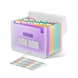 ThinkTex Accordian Aktenordner, 12 Fächer, erweiterbare Aktenordner, tragbarer monatlicher Rechnungsbeleg-Organizer, bunte Registerkarten, A4-Größe – Orange