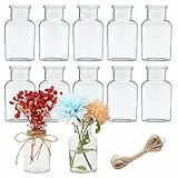 12er Set Kleine Vasen，125ml Vasen Klein Tischdeko mit 10M Juteschnur，Glasvasen FüR Tischdeko，Mini Glass Vases,geeignet für Hochzeiten,Birthdays,Festivals,Party Vasen Set