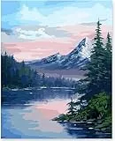 Malen nach Zahlen für Erwachsene, DIY Leinwand Ölgemälde Kit für Kinder mit Pinseln Acrylpigment Zeichnung Lackierung 40x50cm