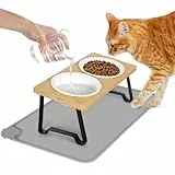 Lannvan Katzennapf Erhöht, 2er Set Futternapf Katze aus Keramik mit Napfunterlage Silikon, Ergonomischer Futterstation 15°gekippte Katzen Hundenapf,Fressnapf und Wassernapf für Katzen und kleine Hunde
