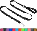 Taglory Hundeleine Kleine Hunde Leicht | Doppelseitig Reflektierend | Gepolsterter Griff | Bis zu 10 kg | 1.8m x 2cm | Schwarz