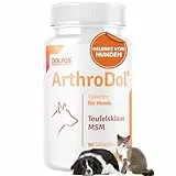 DOLFOS PETS ArthroDol Gelenktabletten Hund 90 Stück, Ergänzung für Hund Gelenke & Arthrose Hund, Gelenk- & Knochenschutz für Hunde mit Grünlippmuschel Hund, Glucosamin Hund, MSM Hund, Kollagen Hund