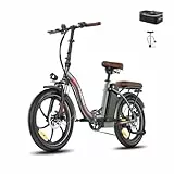 Fafrees F20+ PRO E-Bike | 36V 22,5AH Akku | 100KM Reichweite | Chamäleonfarbe | 250W Motor (Rückentasche + Fahrradluftpumpe, grau)