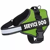 Belababy Hundegeschirr, gegen Ziehen, atmungsaktiv, verstellbar Spaziergeh-Trainings-Hilfe, Brustgeschirr, für Draußen, einfache Kontrolle für mittelgroße, kleine, große Hunde, XS, Grün