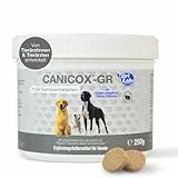 NutriLabs CANICOX GR Kautabletten für Hunde 100 Stück - Mit Glucosamin, Chondroitin, Weißdorn & Ginseng - Unterstützt Gelenke, Herz, Leber, Nerven & Immunsystem - Nahrungsergänzung für ältere Hunde