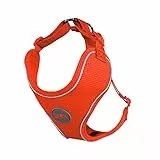 DDOXX Reflektierendes Airmesh Step-In Hundegeschirr - Verstellbare Brust Welpengeschirr für alle Größen - XS (Orange)