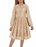 Danna Belle Pailletten-Partykleid für Mädchen, formeller Geburtstag, Festzug, funkelnd, ausgefallenes Ballkleid, langärmelig, 5–12 Jahre, Champagner-Gold, 10-12 Years