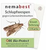 nemabest® Schlupfwespen gegen Lebensmittelmotten - 1 Karte à 1 Lieferung zur effektiven Bekämpfung - biologische Alternative zur Mottenfalle oder Pheromonfalle
