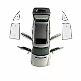 Sonnenschutz Auto Für Ford Für S-Max Für Smax S Für Max MK1 2006 2007 2008 2009 2010 2011 2012 2013 2014 Auto Frontscheibe Mesh Vorhang Vorne Hinten Sonnenschutz Auto Sonnenblende (Größe : H-Rear Win