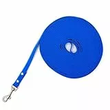 AOOOWER 10-50ft Hundelise Zum Laufen Zum Wander Und Schwimmen Für Mittel Und Große Hunde Bungee Leinenzubehör PVC Hundeleine