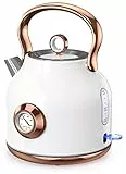 NESSGRAIM Retro Wasserkocher, 1,7L Edelstahl-Teekessel mit Großer Temperaturanzeige, 2200W Schnell Aufheizender Heißwasserboiler mit LED-Indikator, Automatischer Abschaltung( weiss)