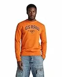 G-Star RAW Herren Skeleton Dog Graphic Sweatshirt, Orange (orange D24413-D562-1018), S