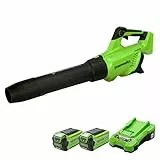 Greenworks GD40ABK2X Axial Akku Laubbläser mit bürstenlosem Motor, 210 km/h, 15,6 m³/min, zwei 40V 2Ah Akkus & Ladegerät, 3 Jahre Garantie