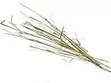 BISON GRASS 5L - Bison Vodka | Grass Vodka | Vodka Essence | Spirit Essences | Herbs by AlcoFermBrew