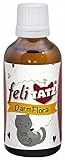 feliTATZ DarmFlora 50 ml für Katzen | zur Unterstützung der Verdauung