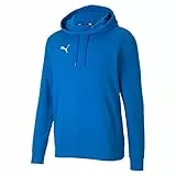 PUMA Herren Teamgoal 23 Causals Hoody Pullover, Electric Blue Lemonade, L EU