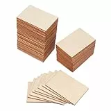 Healifty Holzspäne Visitenkarten Holzstücke Holztafeln Zeichen Holzscheiben Holzausschnitte für Verzierungen DIY 60pcs 7.6x5.1cm Bastelholz Hochzeitsdeko Krippenhandwerk
