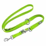 DDOXX Hundeleine Nylon - 2m Hundeleine Große Hunde, 3-Fach Verstellbar - Doppel Welpenleine, 360° Drehbares Drehgelenk, Robust und Langlebig - Große, Grün
