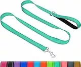 Taglory Hundeleine mit gepolsterter Handschlaufe, Reflektierende Führleine für kleine, mittlere und große Hunde sowie Welpen, Aus reißfestem Nylon für tägliche Spaziergänge, Türkis