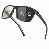 LVIOE Selbsttönende Sonnenbrille für Herren, UV400-Schutz, Photochrome Brille, Antiblendend für Autofahren, Angeln und Outdoor
