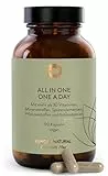 SUNDAY NATURAL® Multivitamin Komplex - All in One – Premium Rundum-Versorgung mit nur 1 Kapsel: 30 A-Z Vitamine, Mikronährstoffe – 90 vegane Vitamin Kapseln - Laborgeprüft und Ohne unnötige Zusätze
