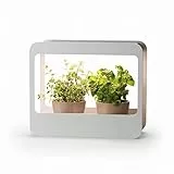 Romberg Home Garden Mini Gewächshaus mit LED Wachstumslampe für Pflanzen, LED Pflanzenlampe Vollspektrum, 14W Grow Light für Basilikum Topf, Minze Samen und Rosmarin Pflanze, 50.5x21x40 cm