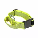 Julius-K9 100HA-K-NE-2015 Color & Gray Halsband mit Haltegriff, Sicherheitverschluss und Logo, 40 mm*38-53 cm, verstellbar, neon-grau