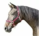 Kerbl Halfter Mustang 2-Fach verstellbar, Rot/Schwarz, 1, 321961