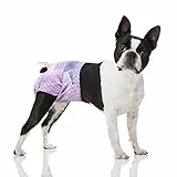 Flying Paws Einwegwindeln für Hunde, geeignet für Hunde und Katzen, verstellbare Einwegwindeln von 10–40 Stück (M-10 Stück)
