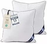 Utopia Bedding 2er Set Kissen 40x40 cm, Kissenfüllung für Bett und als Dekokissen, Sofakissen, Zierkissen für Couch (Weiß)