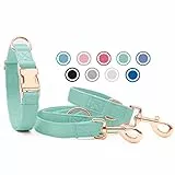 Weich Leder Hundehalsband und Leine (2m) Set - 3-Fach Verstellbar Hundeleine mit Halsband, Stilvollen Rose Gold Metall Schnalle & Nylon Hund Leinen für Welpen Kleine Mittlere Große Hunde Grün,XS