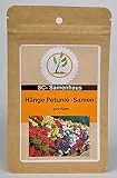 Hänge-, Balkon-Petunie Petunia hybrida pendula Mix 500 Samen SC-Samenhaus