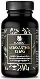 Astaxanthin 12mg Astaxanthin Hochdosiert - 90 Astaxanthin Softgel Kapseln - Astaxanthin Kapseln Natürliches Astaxanthin - Antioxidantien Astaxantin Astaxanthin Bräunungskapsel - Luondu