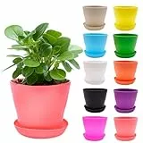 TULEBOLIAN 10 Pcs Bunte Kleine Blumentöpfe,Kunststoff-Pflanzgefäße,10cm,Mit Loch,mit Untersetzer,10 Farben,Plastik Anzuchttöpfe,Pflanzen für Setzling,für Garten, Büro, Zimmer