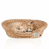 Lycce Katzenbett Hundebett für kleine Hunde | Kissen waschbar bei 30° | ovale Form mit hohem Rand | Wasserhyazinthe | Betten, Decken & Möbel für Katzen | Gr. 1 (53 x 40 x 14 cm)